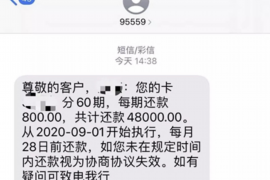 沈阳为什么选择专业追讨公司来处理您的债务纠纷？